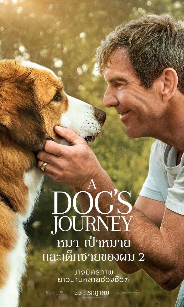 ดูหนังออนไลน์ฟรี A Dog’s Journey (2019) หมา เป้าหมาย และเด็กชายของผม 2