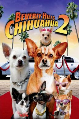 ดูหนังออนไลน์ฟรี Beverly Hills Chihuahua 2 (2011) คุณหมาไฮโซ โกบ้านนอก 2