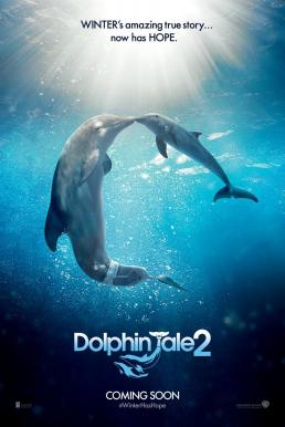 ดูหนังออนไลน์ฟรี Dolphin Tale 2 (2014) มหัศจรรย์โลมาหัวใจนักสู้