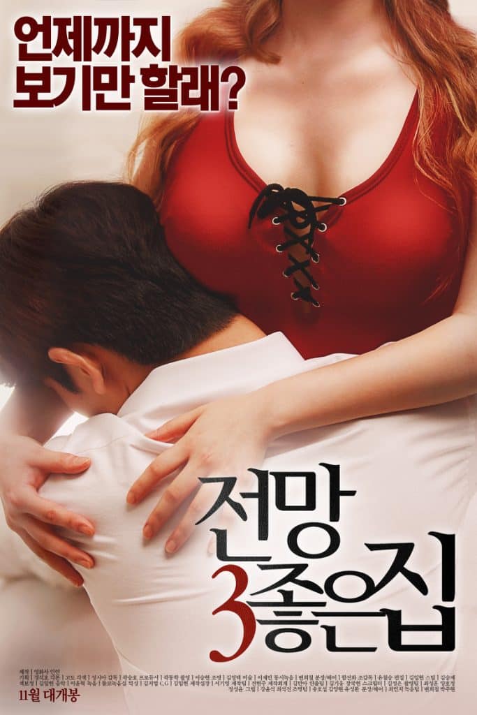 ดูหนังออนไลน์ฟรี House With A Good View 3 (2016) [เกาหลี 18+]