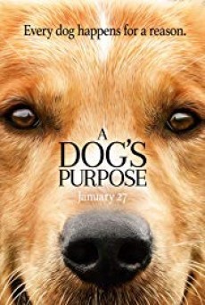 ดูหนังออนไลน์ A DOG’S PURPOSE (2017) หมา เป้าหมาย และเด็กชายของผม
