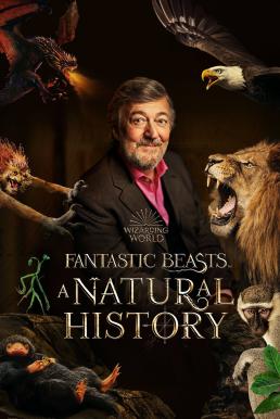 ดูหนังออนไลน์ฟรี Fantastic Beasts: A Natural History (2022) บรรยายไทย