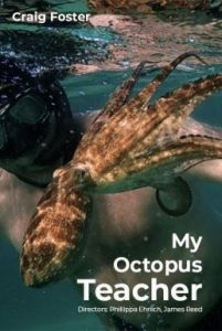 ดูหนังออนไลน์ฟรี My Octopus Teacher (2020) บทเรียนจากปลาหมึก
