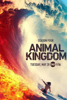 ดูหนังออนไลน์ Animal Kingdom  Season 4 (2019) แอนิมอล คิงดอม 4