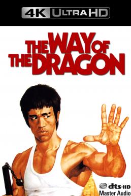 ดูหนังออนไลน์ฟรี The Way of the Dragon (1972) ไอ้หนุ่มซินตึ๊ง บุกกรุงโรม