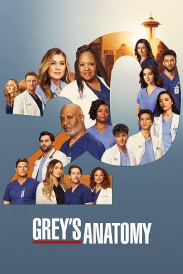ดูหนังออนไลน์ Grey’s Anatomy แพทย์มือใหม่หัวใจเกินร้อย Season 20 (2024) บรรยายไทย